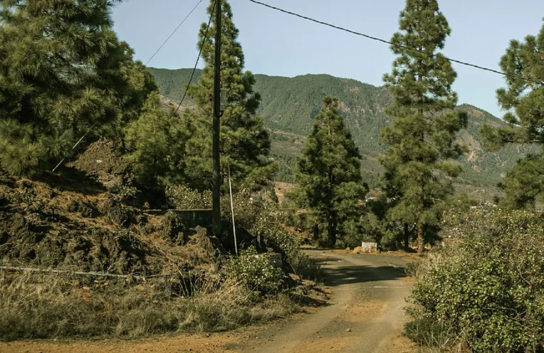 camino a la finca