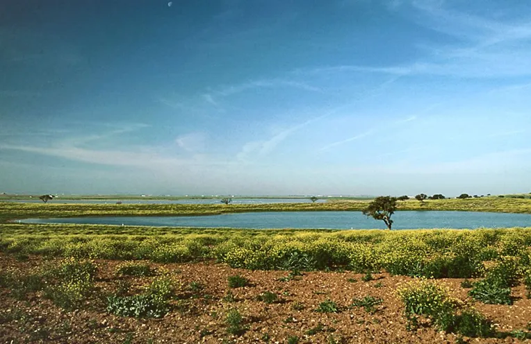 vistas al paisaje