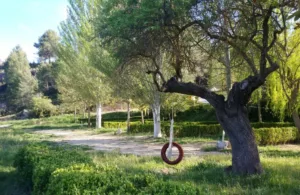 Cabañas de madera