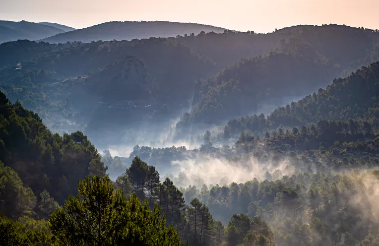 vistas a la montana