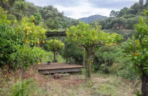 Cabañas