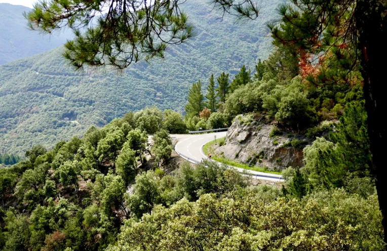 camino en la montaña