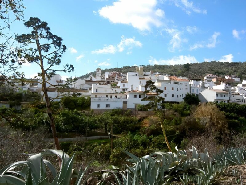 Casa Blanca malaga