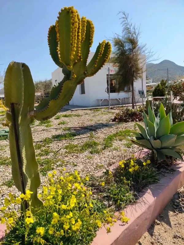 camping en Andalucía