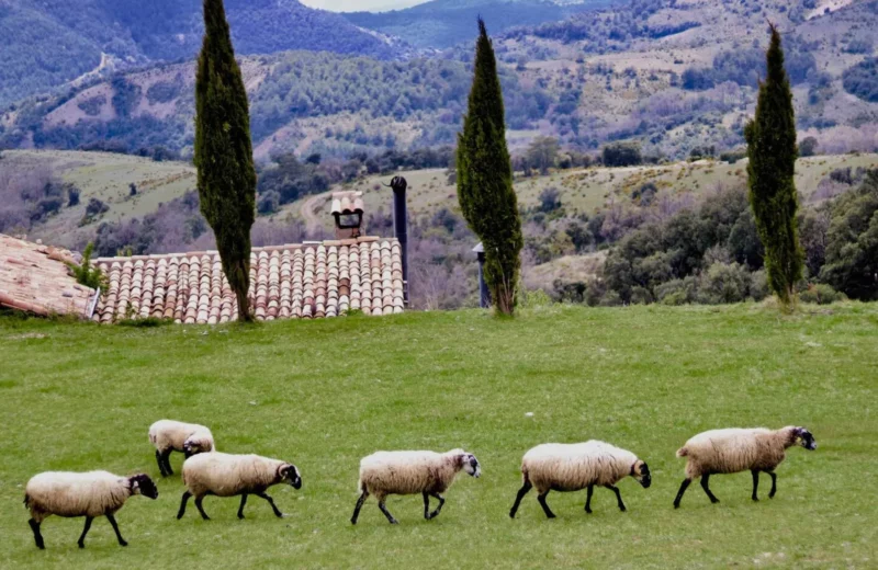 los alrededores de la casa