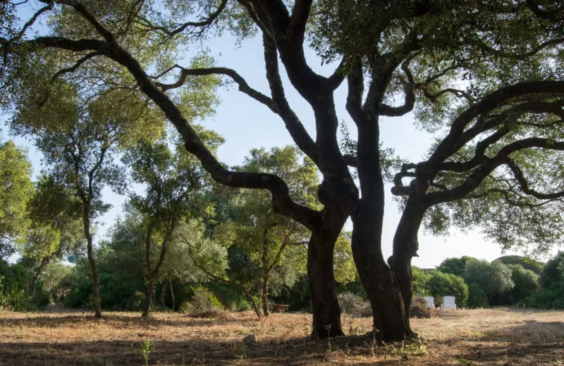 los alrededores del camping