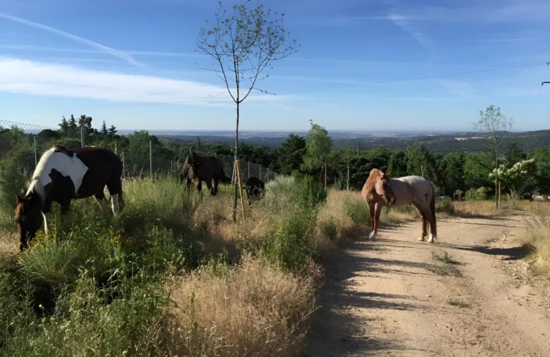 escapadas rurales