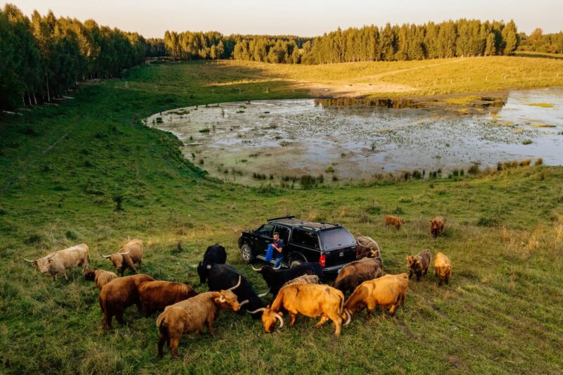 zwierzęta w agroturystyce