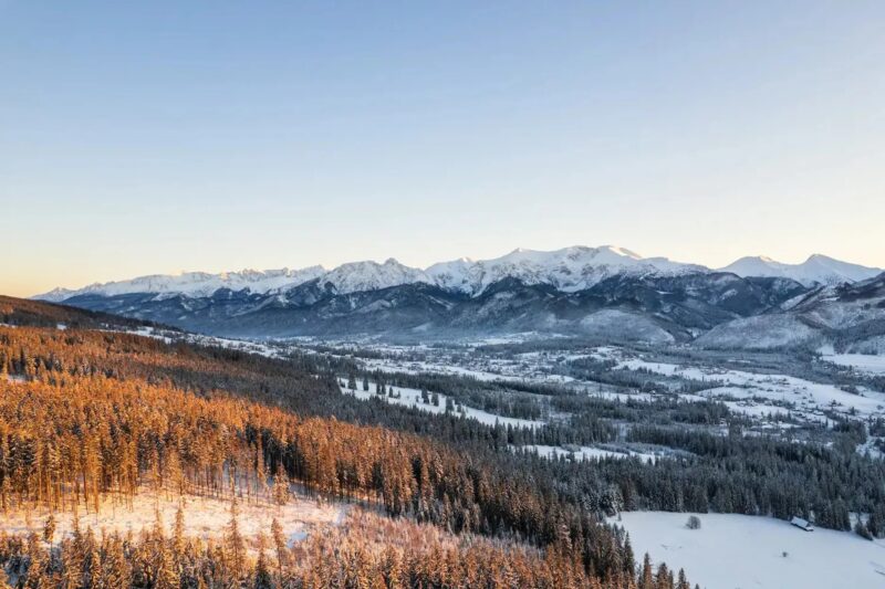 widok na panoramę Tatr