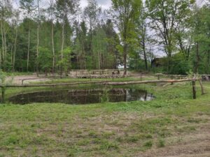 miejsce kamperowe roztocze