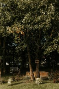 tiny house nad morzem