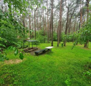 pole namiotowe i kamperowe spływ kajakowy