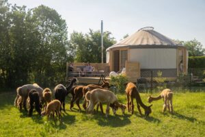 majówka nad morzem z dziećmi