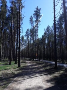 majówka nad morzem z dziećmi