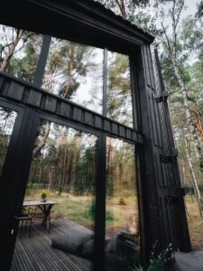 forrest cabin