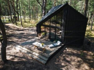 forrest cabin