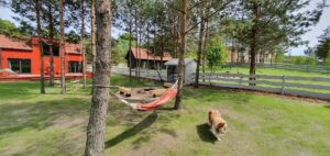 domek stodoła wynajem