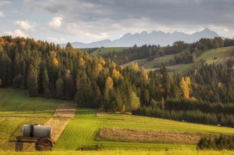 okolica domków