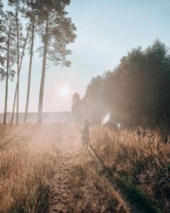 domki letniskowe nad jeziorem turawa