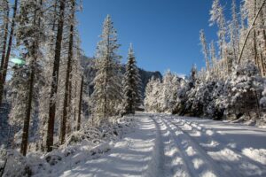 domek góry zakopane
