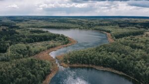 domki letniskowe nad jeziorem wielkopolska