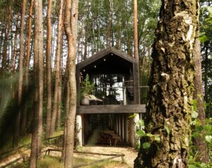 sosnowa kryjówka