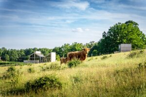 domek nad jeziorem - Wielkopolska