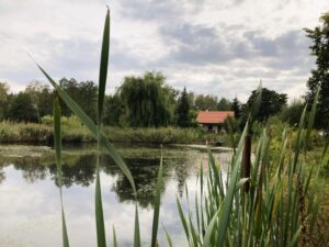 wakacje z dziećmi w Polsce