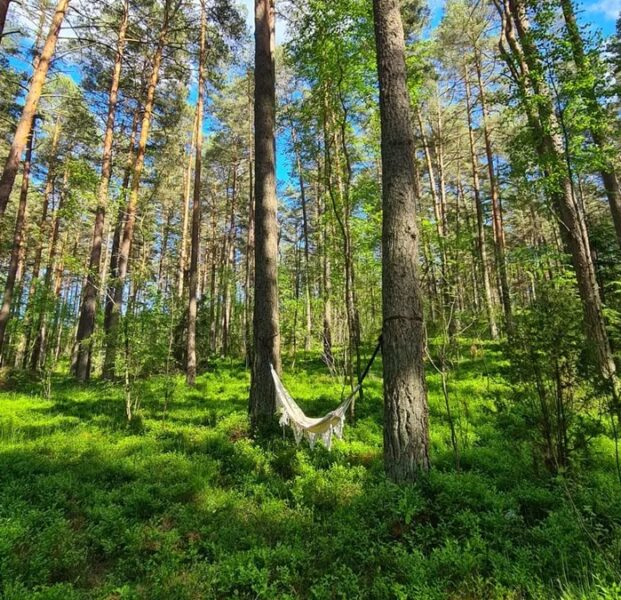 ciekawe miejsca w Polsce - Mazury