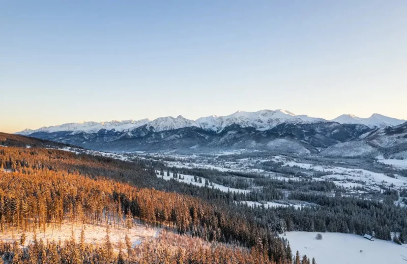 widok na Tatry