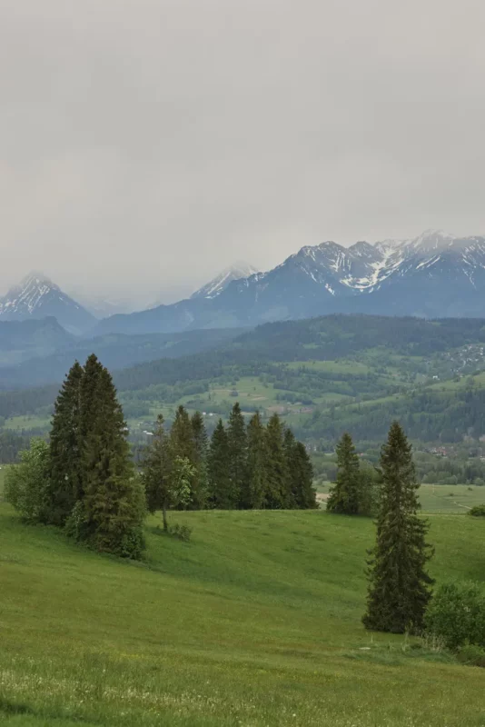 Tatry