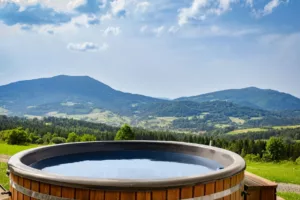tiny house z jacuzzi
