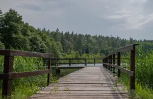 Wakacje z dziećmi w Polsce
