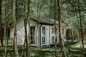 widok na domek w lesie