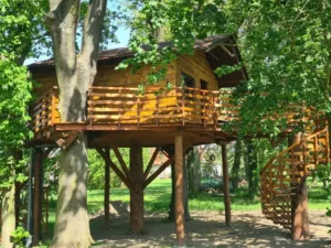 domek na drzewie