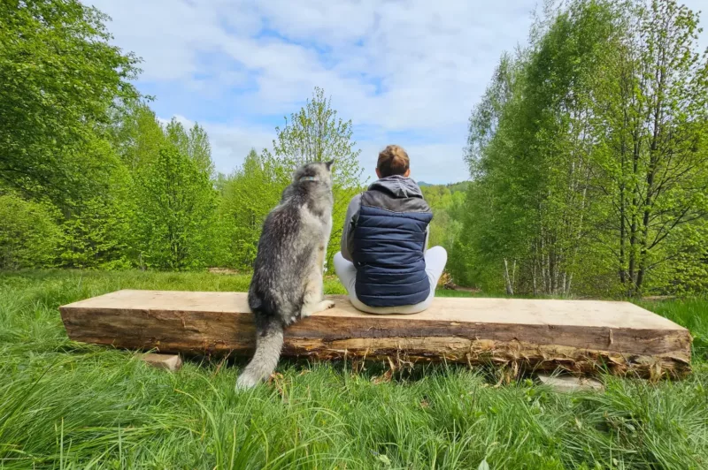 Wysoka Trawa Gruszków