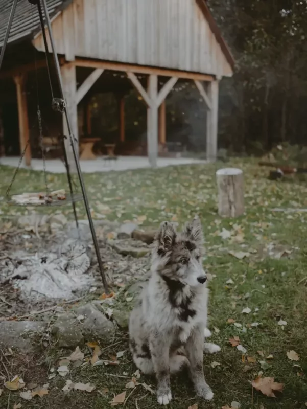 Ciekawe miejsca w Polsce z psem Kraina Wygasłych Wulkanów