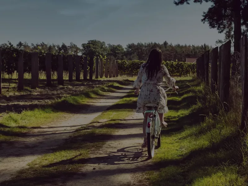 Ciekawe miejsca w Polsce jesienią: Polskie winnice