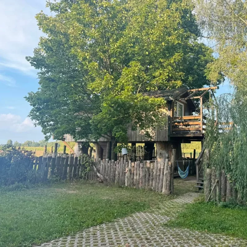 Domek na drzewach