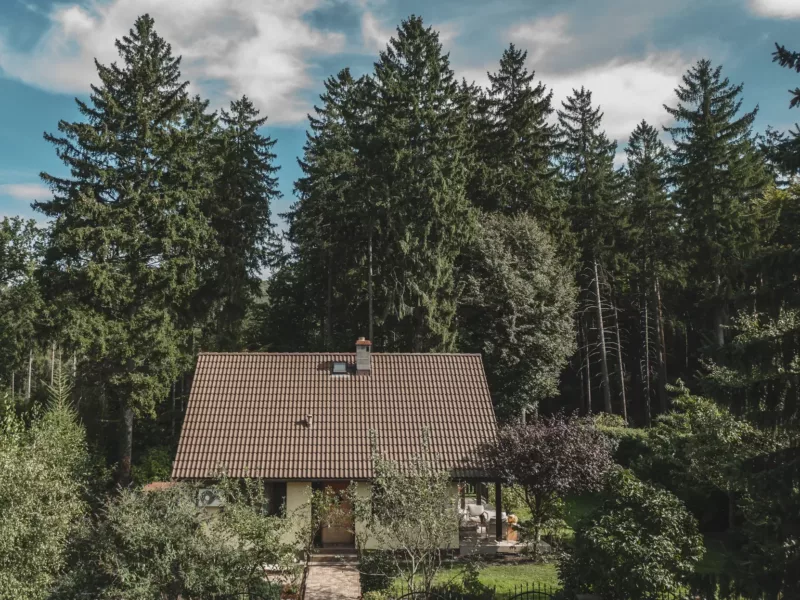 Ciekawe miejsca w Polsce dla dzieci