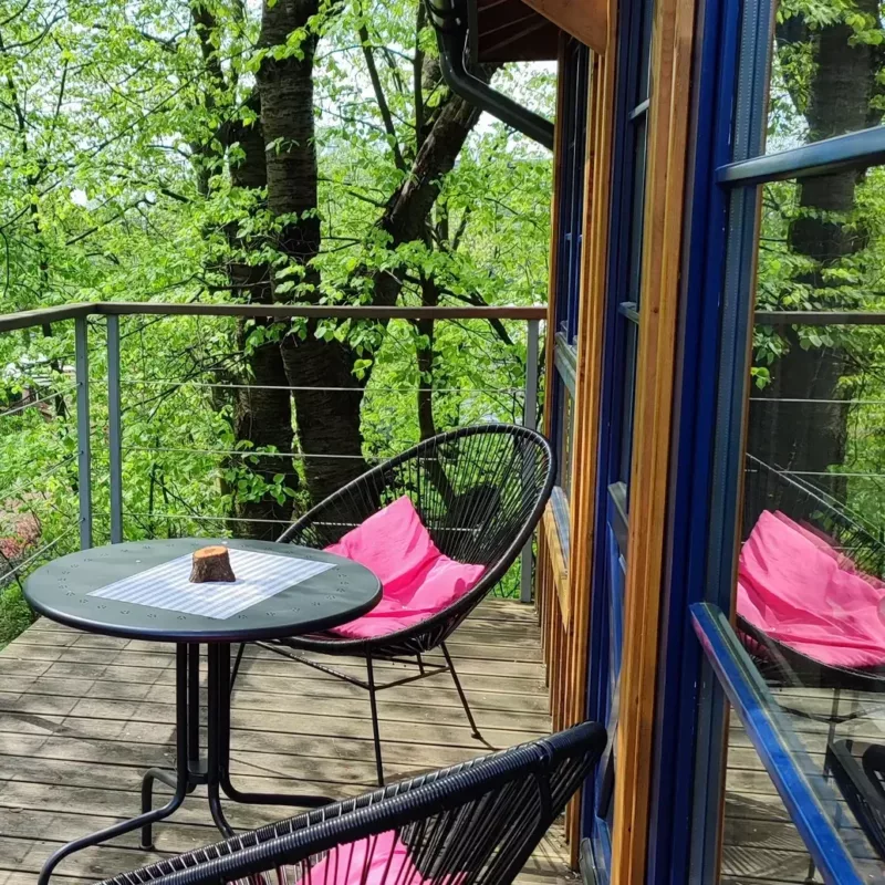 węgiełek treehouse