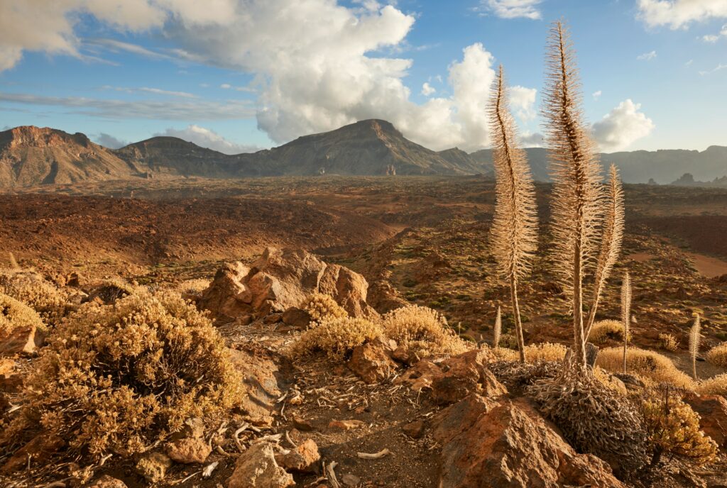 Tenerife hinderland