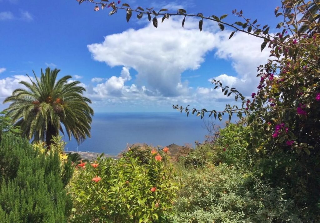 ocean view Canary Islands