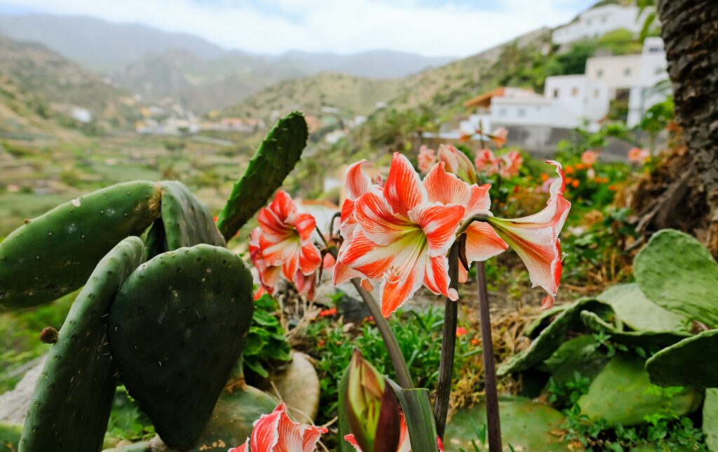 La Gomera