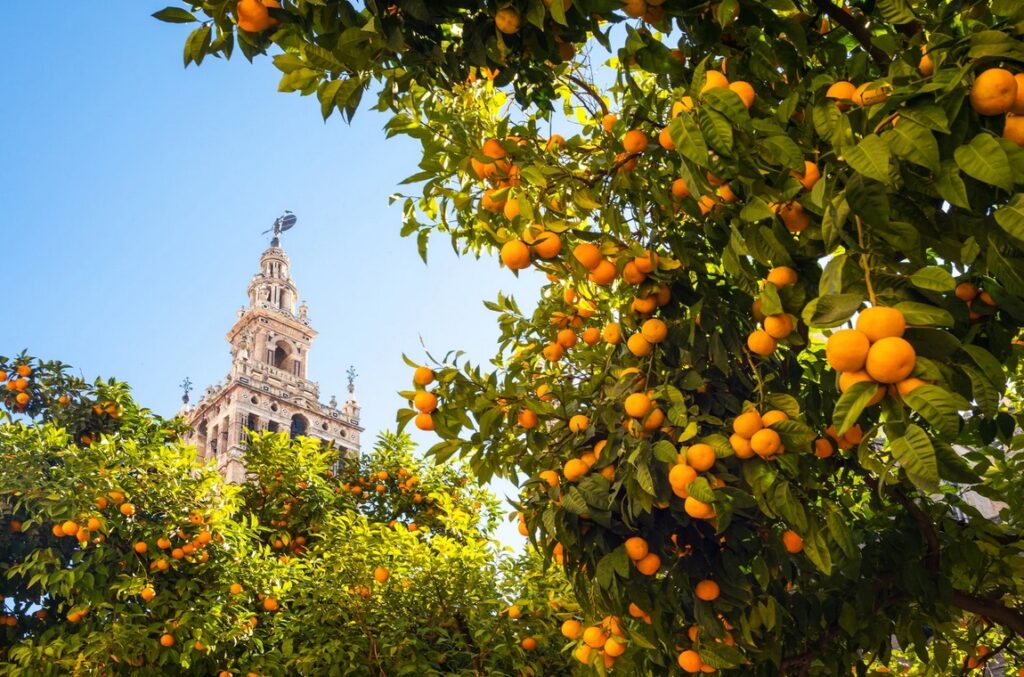 royal palace in Sevilla