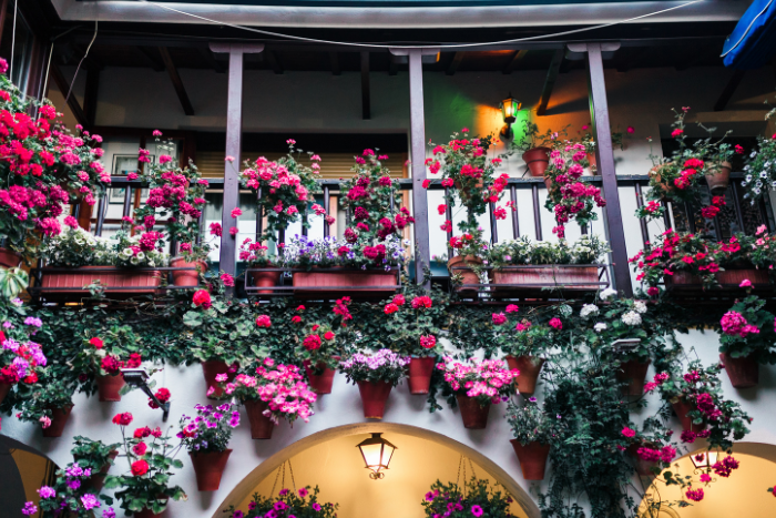 flowers on a balcony