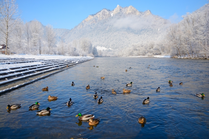 Pieniny