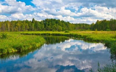 Poland Nature 🍃6 Best Nature Escapes in Poland You Can’t Miss