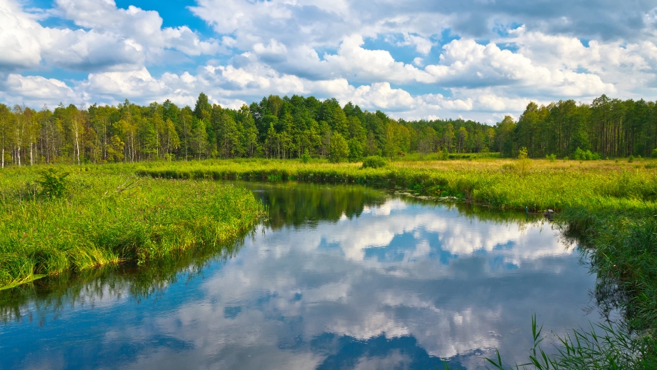 Poland Nature