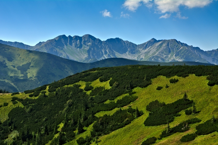 Zakopane holidays